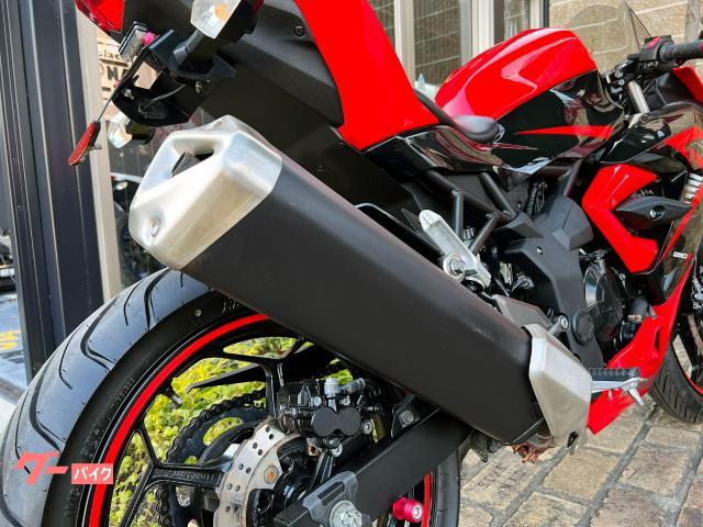 カワサキ Ninja 250SL フェンダーレス アクセサリー