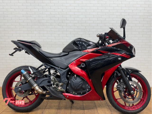ＹＺＦ−Ｒ２５　ワンズ管　エンジンスライダー　カスタムバックステップ　スクリーン　テール