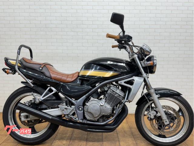 ＢＡＬＩＵＳ　社外マフラー　タックロールシート　カスタムハンドル　タンデムバー　ミラー