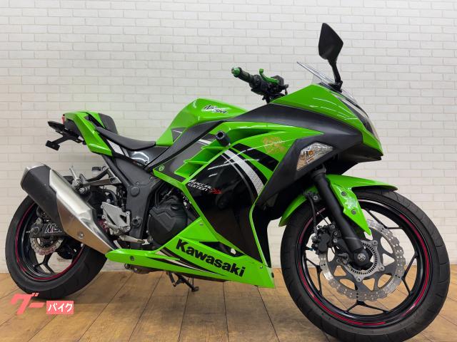 Ｎｉｎｊａ　２５０　ＡＢＳ　エンジンスライダー　シングルシートカウル　フェンダーレス　レバー
