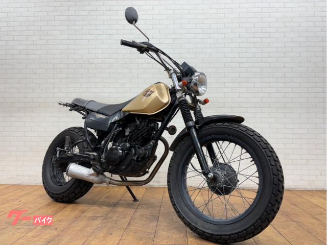ＴＷ２００Ｅ　スーパートラップマフラー　カスタムウインカー　テール
