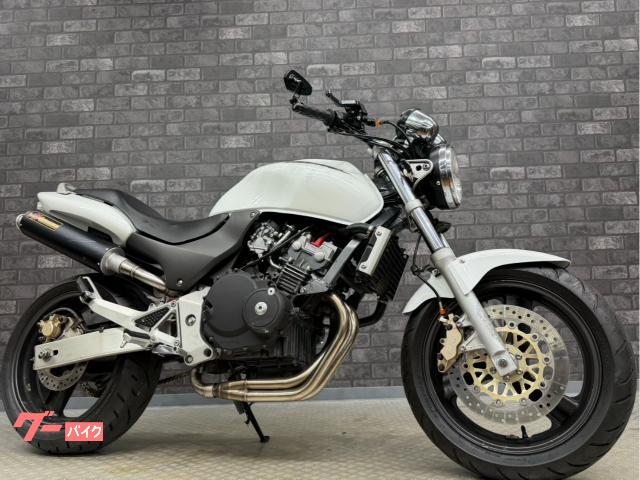 ＨＯＲＮＥＴ　ＲＳサンセイレーシングマフラー　ＬＥＤライト　カスタムハンドル　テール　ホース