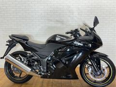 カワサキ　Ｎｉｎｊａ　２５０Ｒ