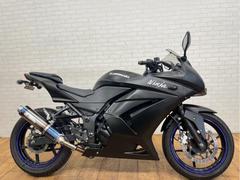 カワサキ　Ｎｉｎｊａ　２５０Ｒ　社外マフラー　カスタムウインカー　フェンダーレス