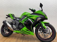 カワサキ　Ｎｉｎｊａ　２５０　ＡＢＳ　エンジンスライダー　シングルシートカウル　フェンダーレス　レバー