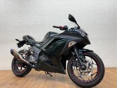 カワサキ　Ｎｉｎｊａ　２５０　トリックスターサイレンサー　カスタムレバー