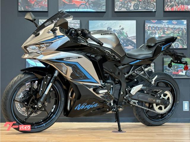 激レア】数量限定完売品 savona2 elite 34インチ（カワサキ