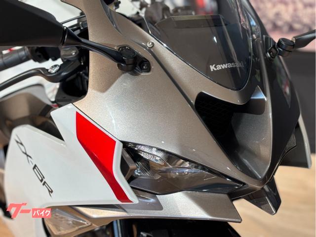 専用グレー SPEEDRA エンジンカバー ZX-6R カラー ゴールド AEKKA03RGD