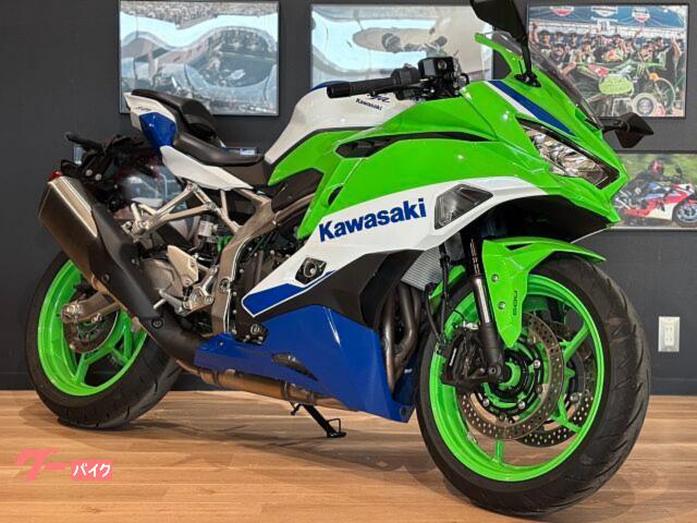 ニカ 2007 Kawasaki Ninja ZX-14