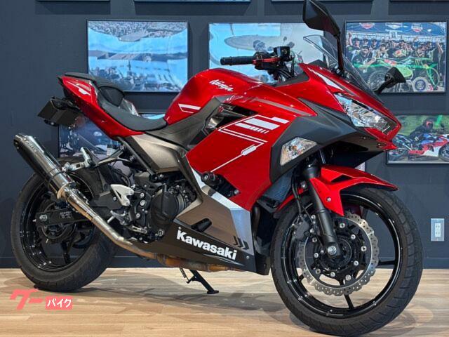 Ｎｉｎｊａ　２５０　ＭＹ２０２２　社外マフラー　ＥＴＣ　ＵＳＢ電源　フェンダーレス