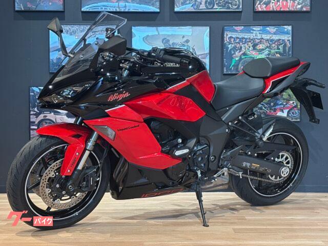 アフリカ インパラ角2本セット Ｃ アフリカ インパラ角2本セット C