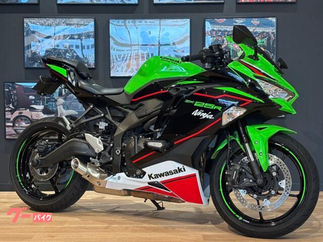 Ｎｉｎｊａ　ＺＸ−２５Ｒ　ＳＥ　ＫＲＴ　ＭＹ２０２２　ＥＴＣ２．０　社外フェンダーレスキット　エンジンスライダー　マウントバー