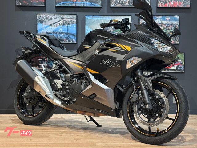 Ｎｉｎｊａ　４００　ＭＹ２０２２　マウントバー　ＵＳＢ電源２口　Ｒキャリア　レバーガード