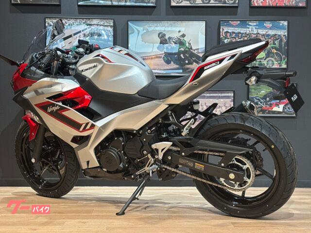カワサキ Ninja 250 MY2026 新車 ギャラクシーシルバー