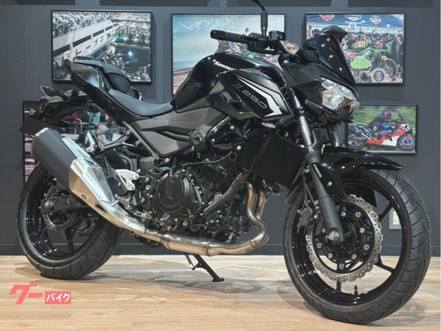 Z250 新車 MY2026 エボニー/メタリックカーボングレー