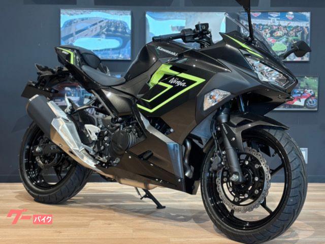 Ｎｉｎｊａ　２５０　ＭＹ２０２６　メタリックカーボングレー　メタリックイエローイッシュグリーン