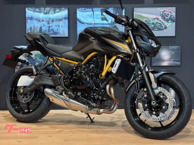 Ｚ６５０　ＭＹ２０２６　ＥＴＣ２．０　メタリックマットグラフェンスチールグレー　メタリックフラットスパークブラック