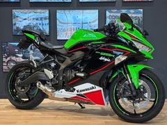 カワサキ　Ｎｉｎｊａ　ＺＸ−２５Ｒ　ＳＥ　ＫＲＴ　ＭＹ２０２２　ＥＴＣ２．０　社外フェンダーレスキット　エンジンスライダー　マウントバー