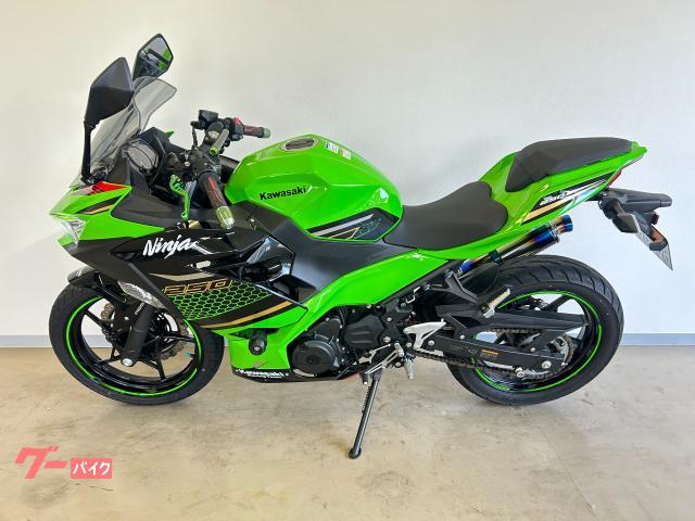 Ｎｉｎｊａ　２５０