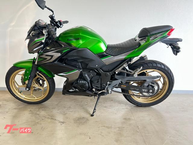 Ｚ２５０