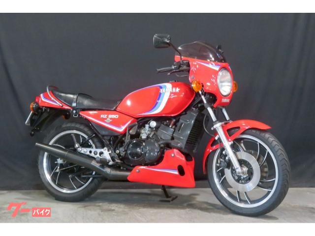 ＲＺ２５０　ＹＳＰ限定カラー　純正ＯＰカウル