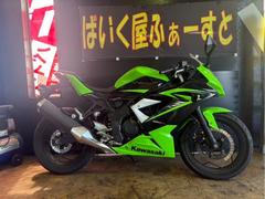 カワサキ　Ｎｉｎｊａ　２５０ＳＬ　　２０１５年式　インジェクション