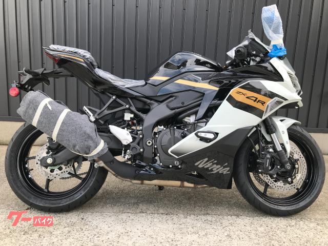 Ｎｉｎｊａ　ＺＸ−４Ｒ　ＳＥ