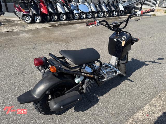 車両情報:ホンダ ズーマー | ネオショップ | 中古バイク・新車バイク