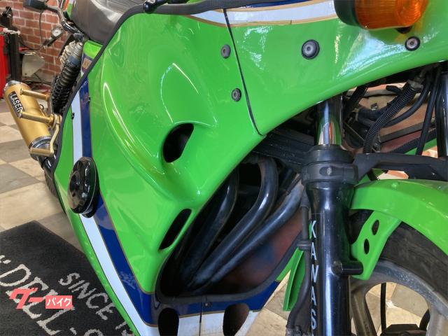 カワサキ Z1000R ローソンレプリカ モトイタリア製カウル