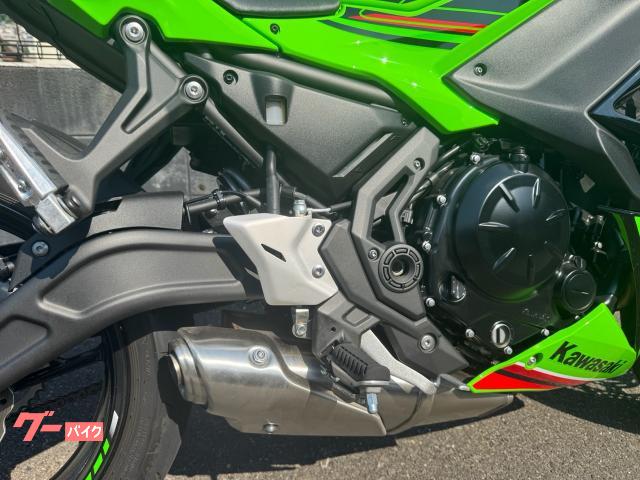 【❗️本日限定価格❗️】クラッシュ9 たなかさん専用 モデルカバープラス 超巨大 ブラック【PPC-K107BK:4534966092251】