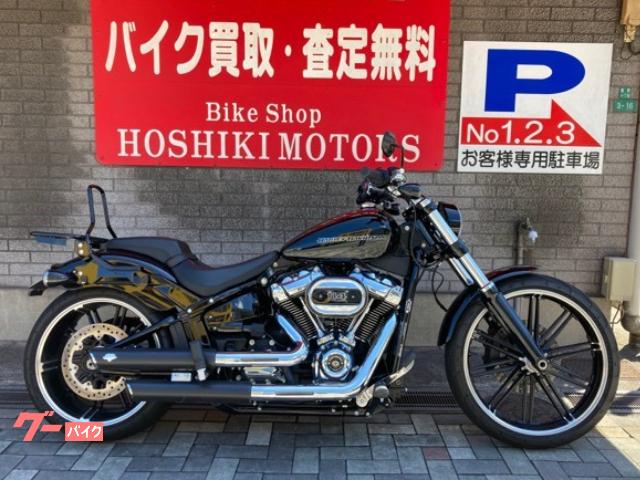 クリスマスローズ ソフテイル 2020 FXBRS ブレイクアウト プライマリー