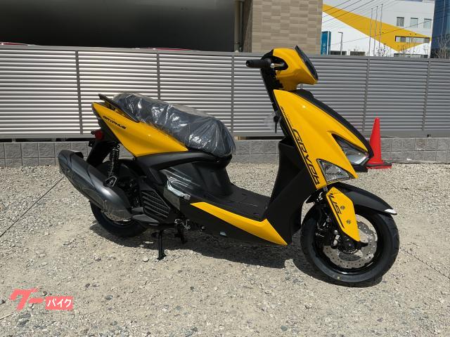 シグナス　グリファス