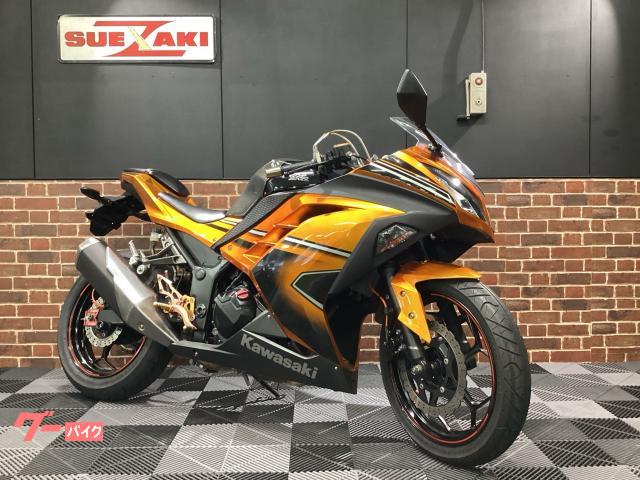 Ｎｉｎｊａ　２５０　ＳＥ