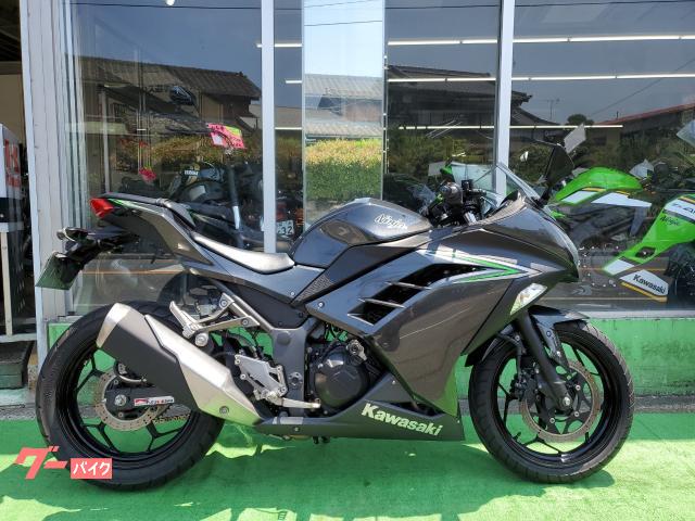 Ｎｉｎｊａ　２５０　２０１６年式　スリムＵＳＢ付き　エンジンスライダー付き