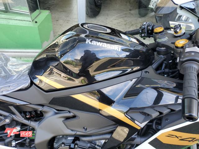 ドラグシュート・チャージャー 140枚 海太郎 ネコシャフトIU×BT-C672-3 | issei [一誠]