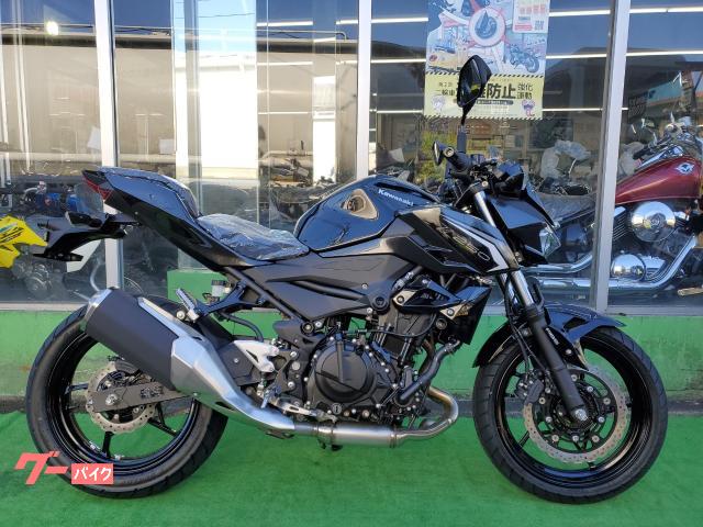 Ｚ２５０　２０２６年モデル　ＡＢＳ　ＬＥＤヘッドライト