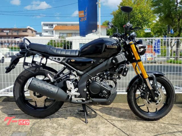 ＸＳＲ１５５　ラジエターコアガード　サイドバッグサポート　ロッドエンドベアリング付きシフトロッド等装備