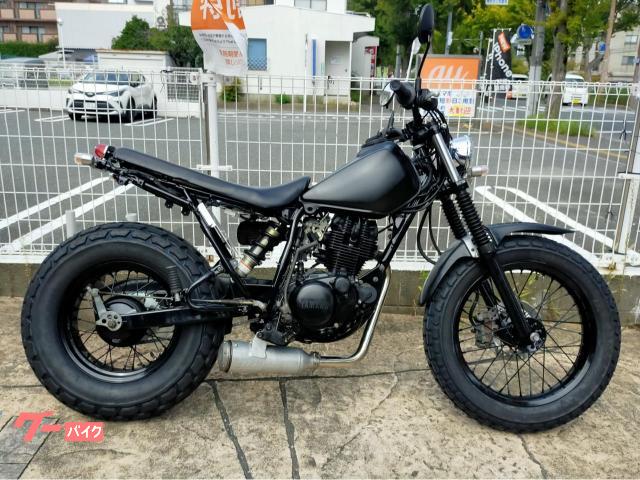 ＴＷ２００Ｅ　カスタム車　スカチューン　スーパートラップ　Ｋ＆Ｎフィルター等装備