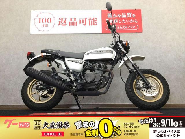 Ａｐｅ１００　タイプＤ　ディスクブレーキ　２００９年モデル