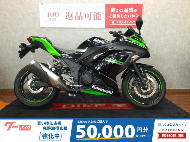 Ｎｉｎｊａ　２５０　レバーカスタム
