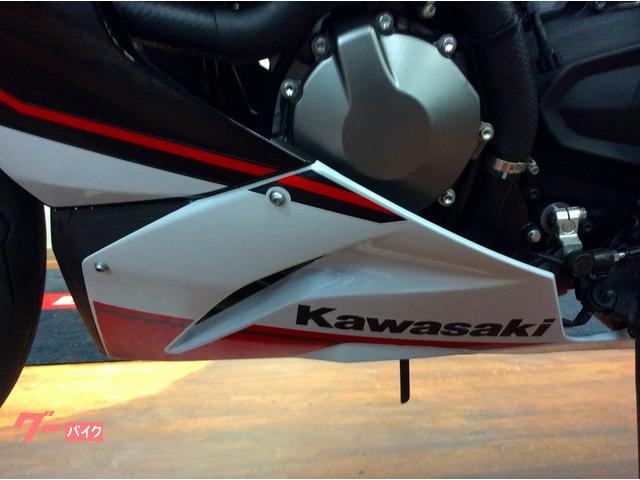 ジグ　57本 カワサキ Ninja ZX－6R レーシングスタンドフック