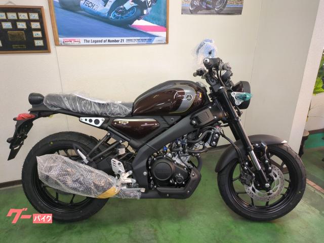 ＸＳＲ１２５　２０２５年式モデル　ベリーダークオレンジ