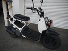 ホンダ ズーマー　エナメルシート　４サイクルモデルの画像（熊本県