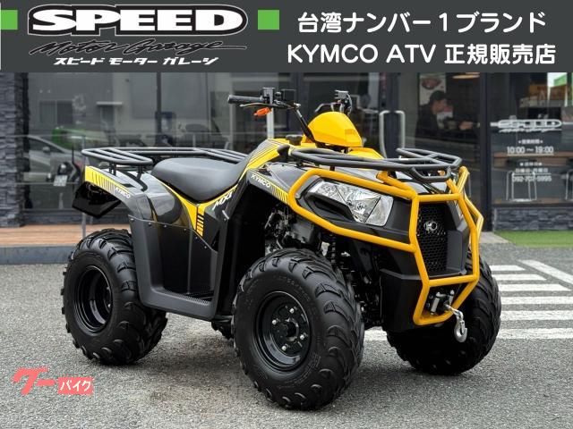 キムコ　ＭＸＵ３００