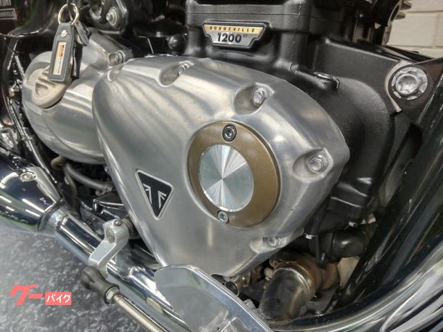 ＴＲＩＵＭＰＨ ボンネビル スピードマスター ２０１８年モデル ＬＲパニアレール ＬＲワックスコットンパニア  ＭＳＣ－ＢＥ５１｜(株)ミスターバイクヤマベ ３号線店｜新車・中古バイクなら【グーバイク】