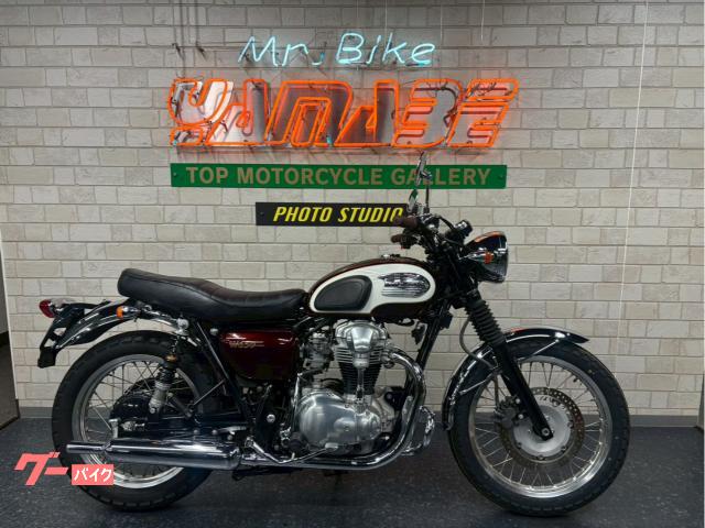 Ｗ６５０　最終型２００８年モデル　オーリンズＲサス　デイトナミラー　ＥＧガード　油温計　グリップ