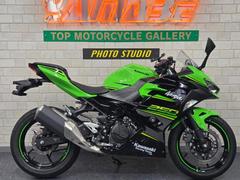 カワサキ　Ｎｉｎｊａ　２５０　２０１８年モデルＫＲＴエディション　マルチバー＆スマホホルダー　フレームスライダー　ＵＳＢ電源