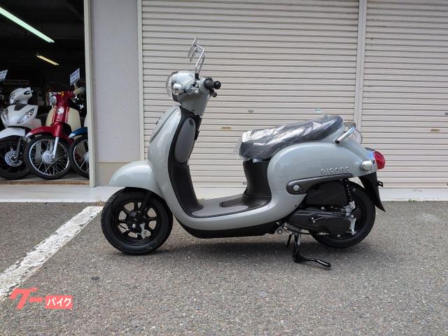 ジョルノ　ファイナルモデル　パールディープマットグレー