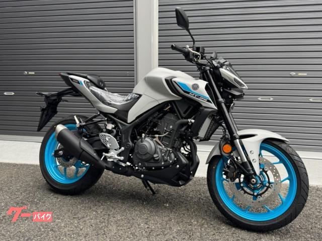 ＭＴ−２５　新車　２０２５年モデル