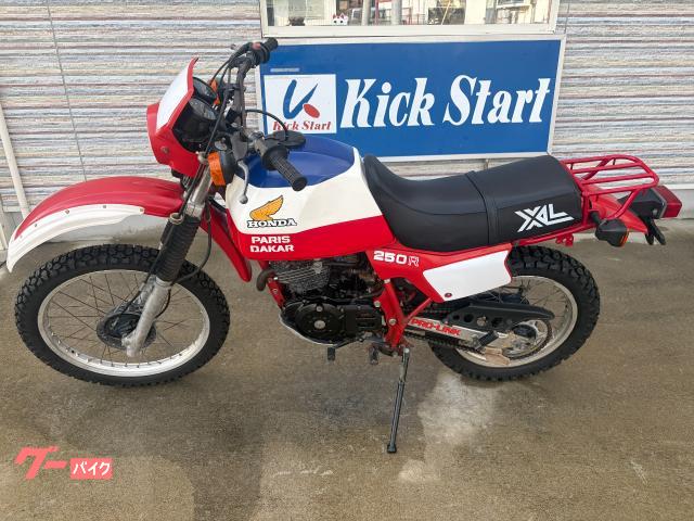 ＸＬ２５０Ｒパリダカ